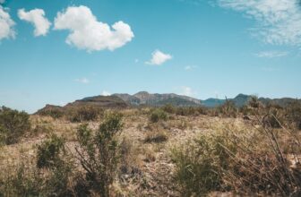 The Best Hikes in Phoenix