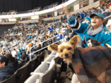 Dog Friendly Hockey Games – 2023 / 2024 Season